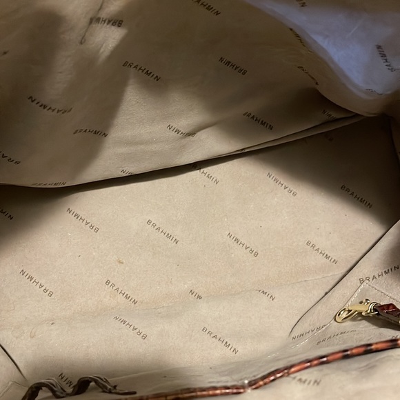 Brahmin - Picture 8 of 9